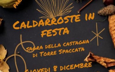 Caldarroste in Festa